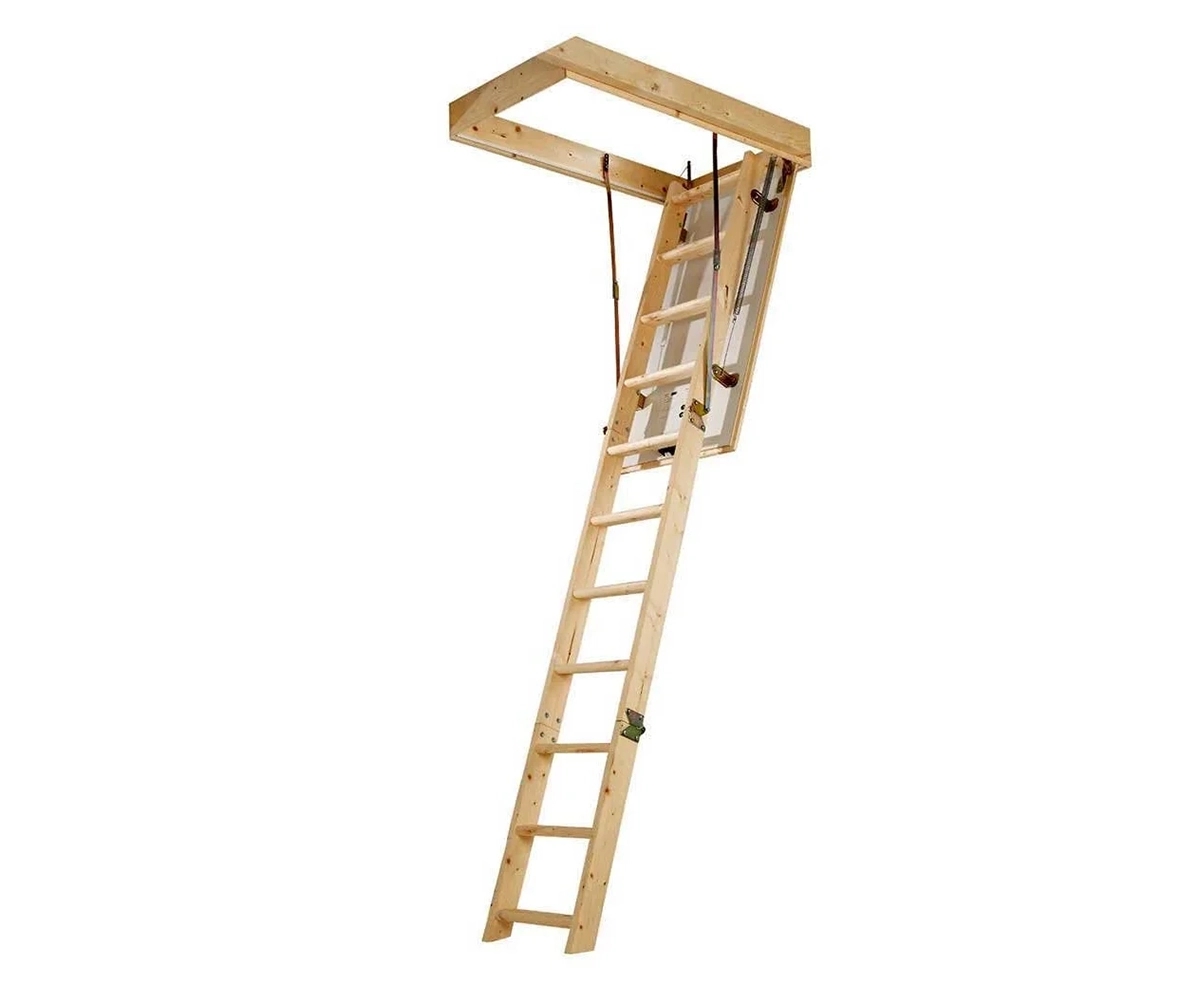 Access Ladders